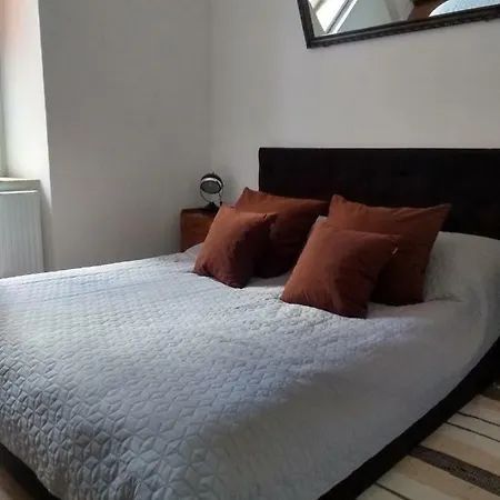 Apartament W Centrum W Zabytkowej Kamienicy Apartment *